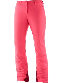 Брюки Salomon Icemania Pant W